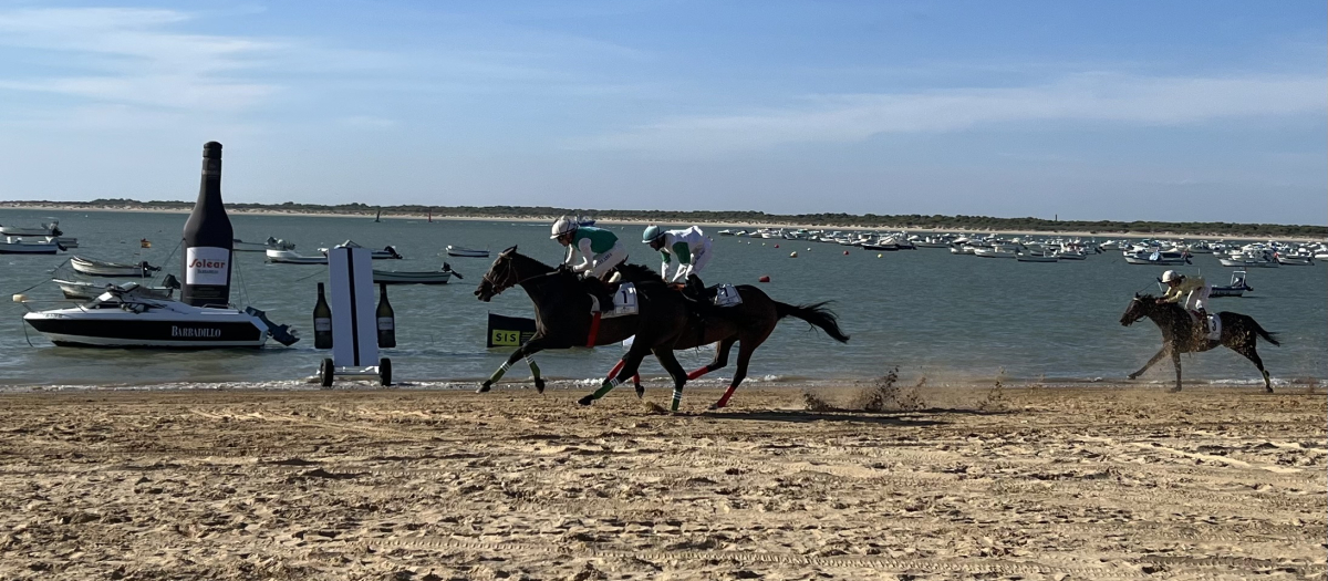 La llegada de los caballos a la meta es el momento más emocionante de la jornada