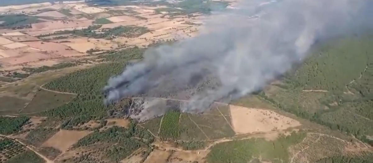 Imágenes de la zona afectada por el fuego - EFE