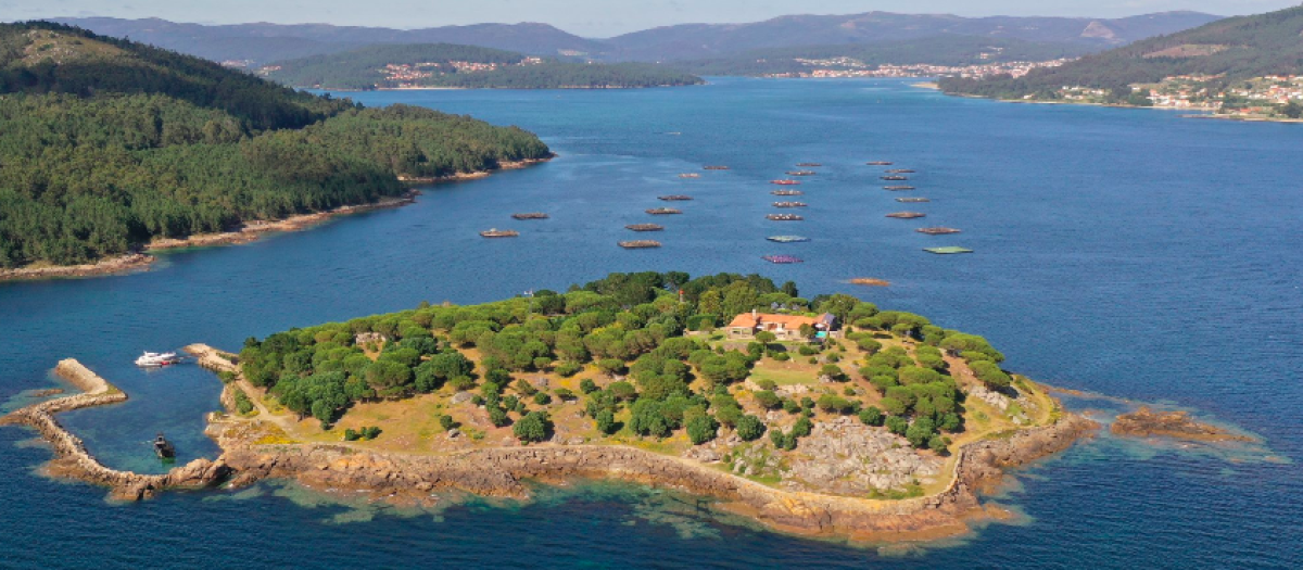 Panorámica de Isla de A Creba