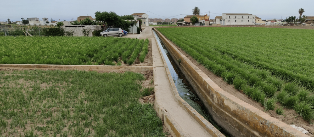 Imagen de la horta valenciana