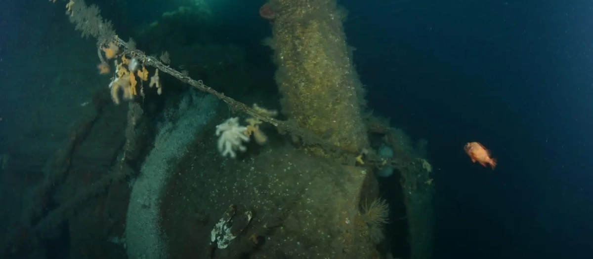 Pecio del HMS Hawke localizado en las costas de Escocia.