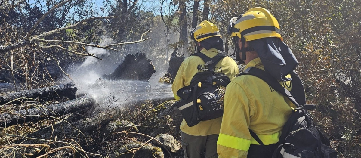 Bomberos forestales trabajan en el remate y liquidación del incendio en la Sierra de Andújar