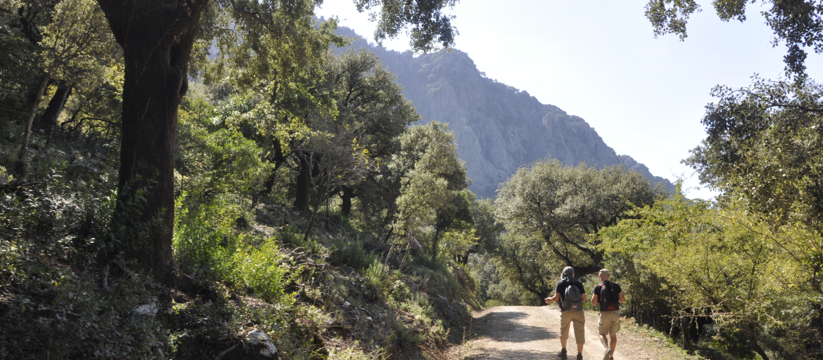 Un par de senderistas caminan por una de los parajes naturales de Andalucía