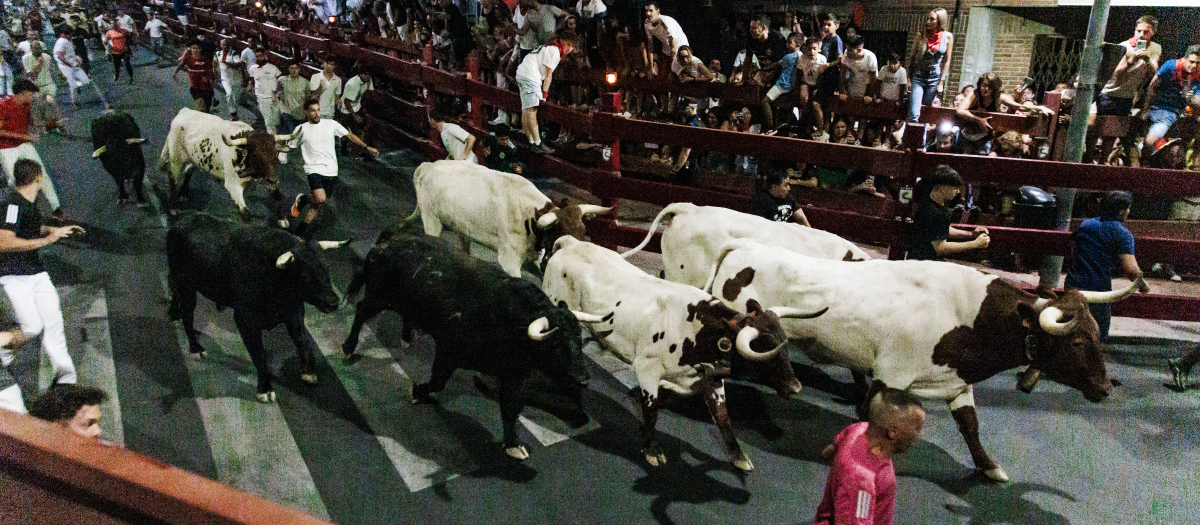 Varios corredores durante el encierro nocturno en las fiestas de San Sebastián de los Reyes