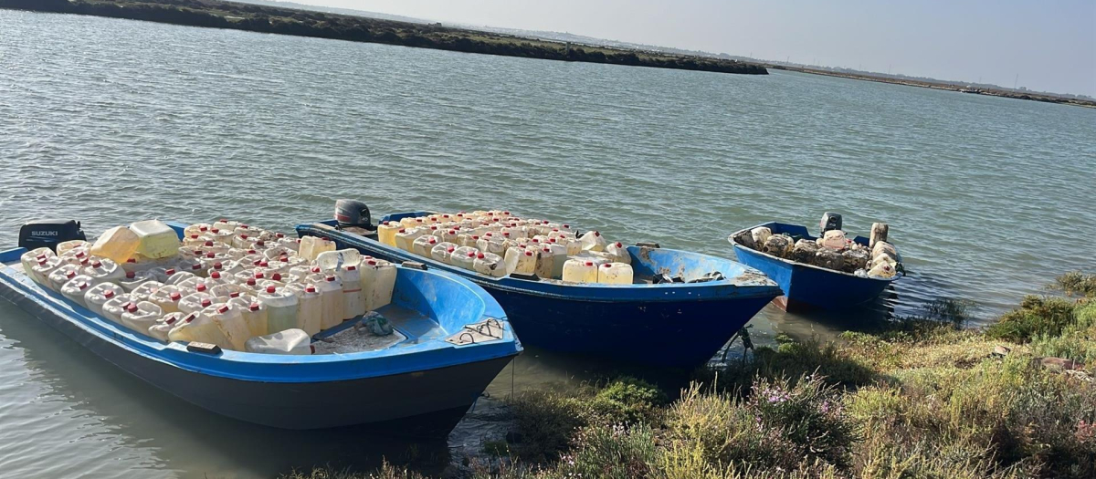 Garrafas de gasolina incautadas por la Guardia Civil en el caño de Sancti Petri, en Chiclana