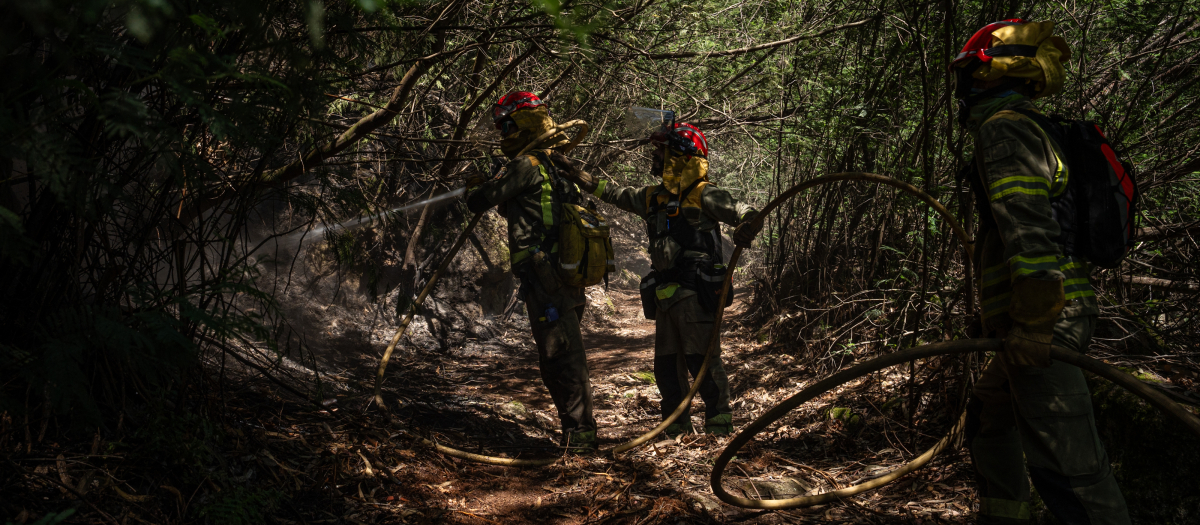 Agentes de los equipos de bomberos trabajan en el incendio en Crecentes (Pontevedra) del pasado 16 de abril de 2024