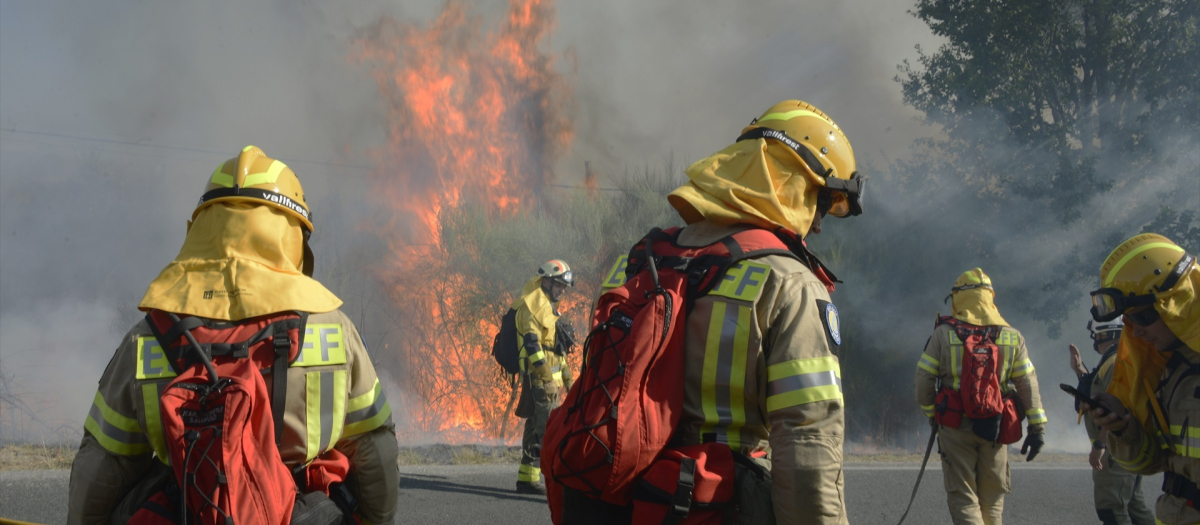 VVarios bomberos tratan de apagar el fuego durante el incendio forestal en la parroquia de Oseira (Orense)