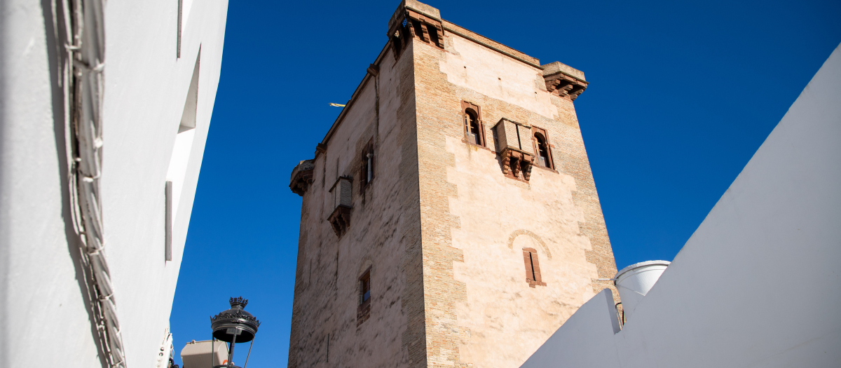 Vista del Castillo de El Carpio