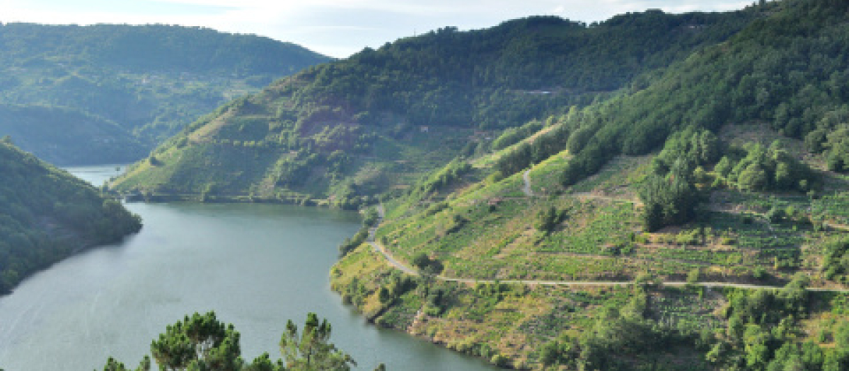 La BBC elogia la Ribeira Sacra