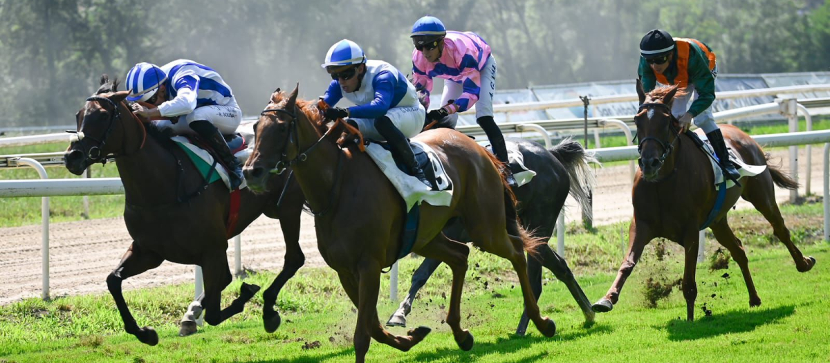 Carrera de Caballos en el Hipódromo de San Sebastián