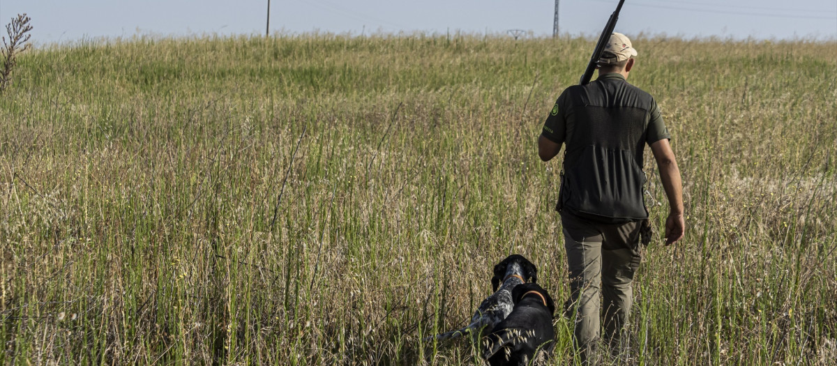 Un cazador junto a sus perros durante una cacería