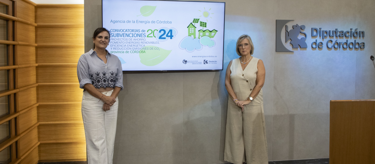 Presentación de la resolución de la Convocatoria de Subvenciones 2024 para entidades locales