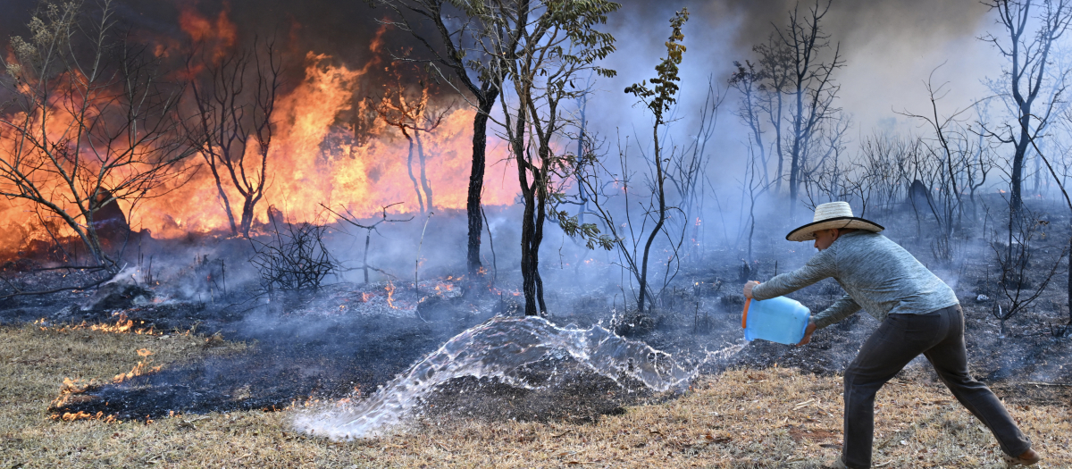 Un residente cerca del Parque Nacional de Brasilia arroja un balde de agua sobre el fuego para contener el incendio forestal