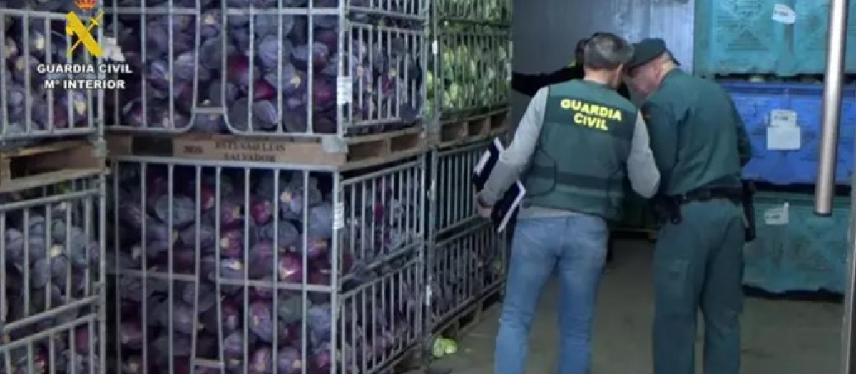 Cae una red en Motril por vender dos millones de kilos de frutas y verduras como productos ecológicos