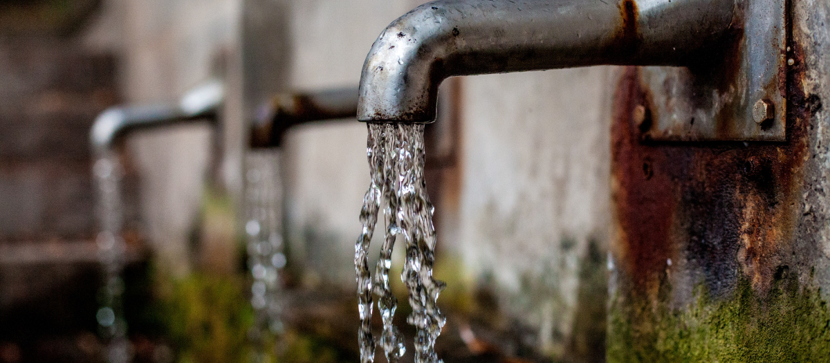 Grifos con agua potable