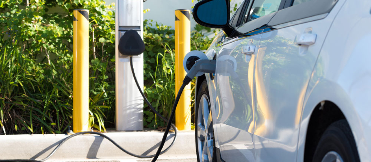 Coche eléctrico en pleno proceso de carga