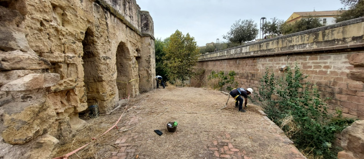 Molino de la Albolafia CORDOBA REHABILITACION