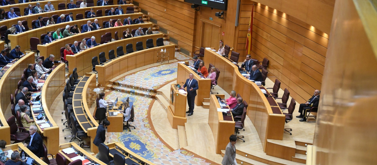 El senador del PP, José Antonio Monago, durante una sesión plenaria