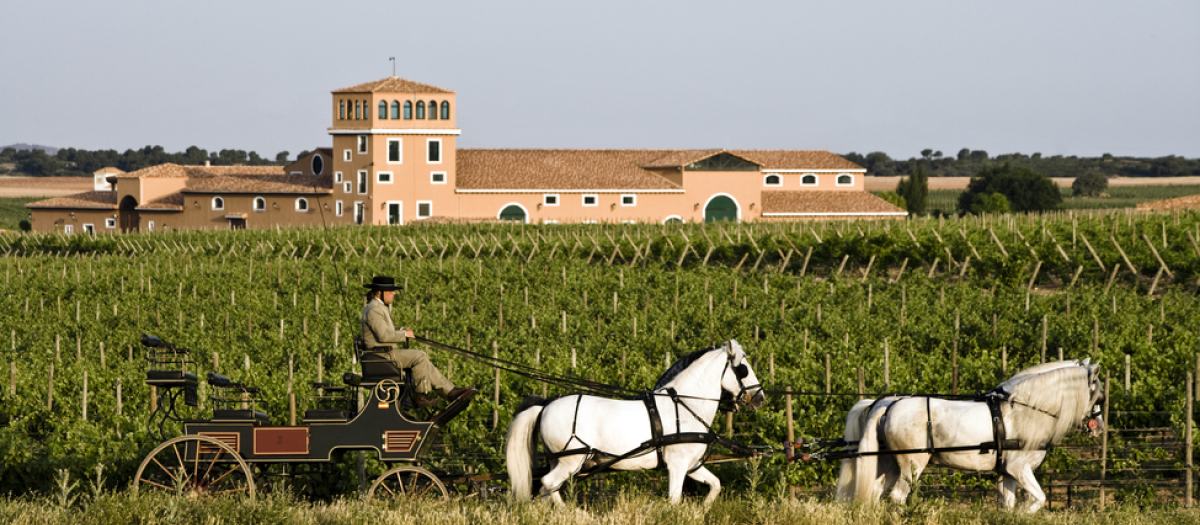 Bodegas Los Aljibes