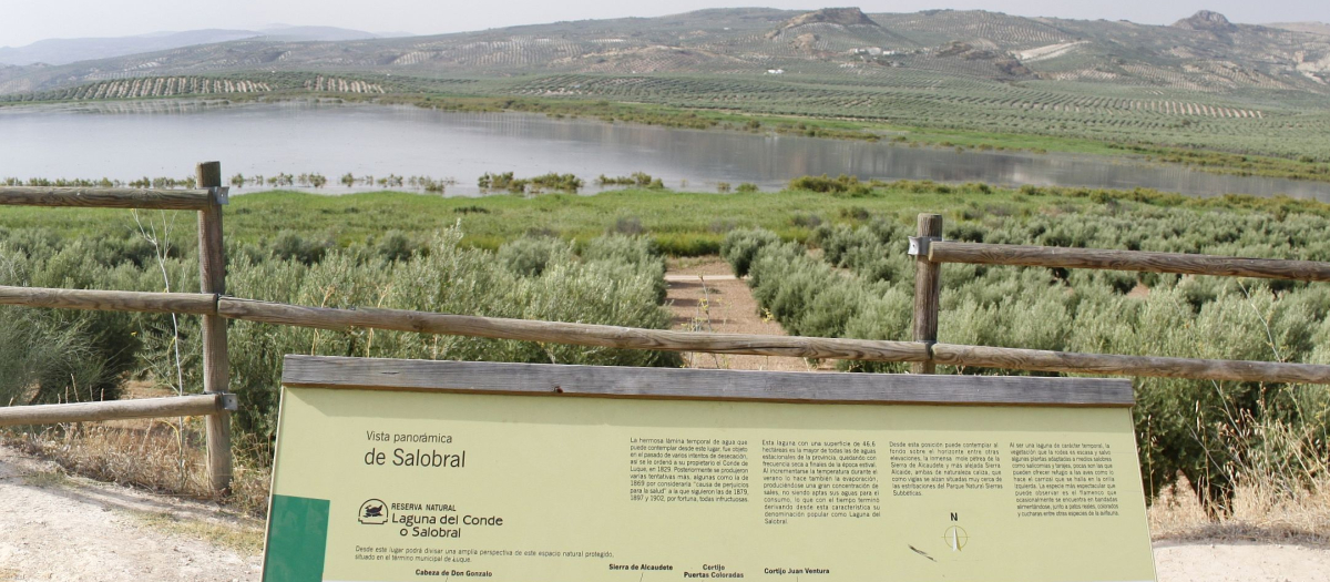 Laguna del Conde en Córdoba