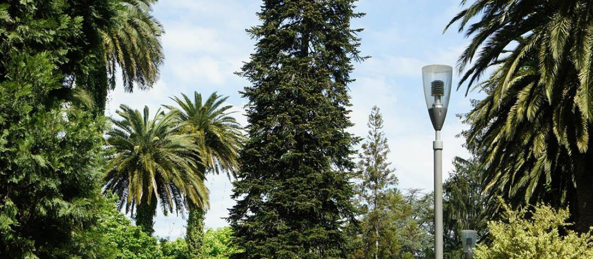 Este es el considerado pulmón de Compostela, su alameda un espacio verde con mucha historia