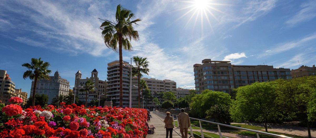 Puente de las Flores-Rita Barberá, en Valencia