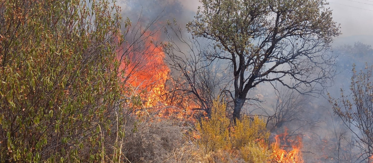 INCENDIO CORDOBA BELMEZ SIERRA INFOCA INCENDIO FORESTAL