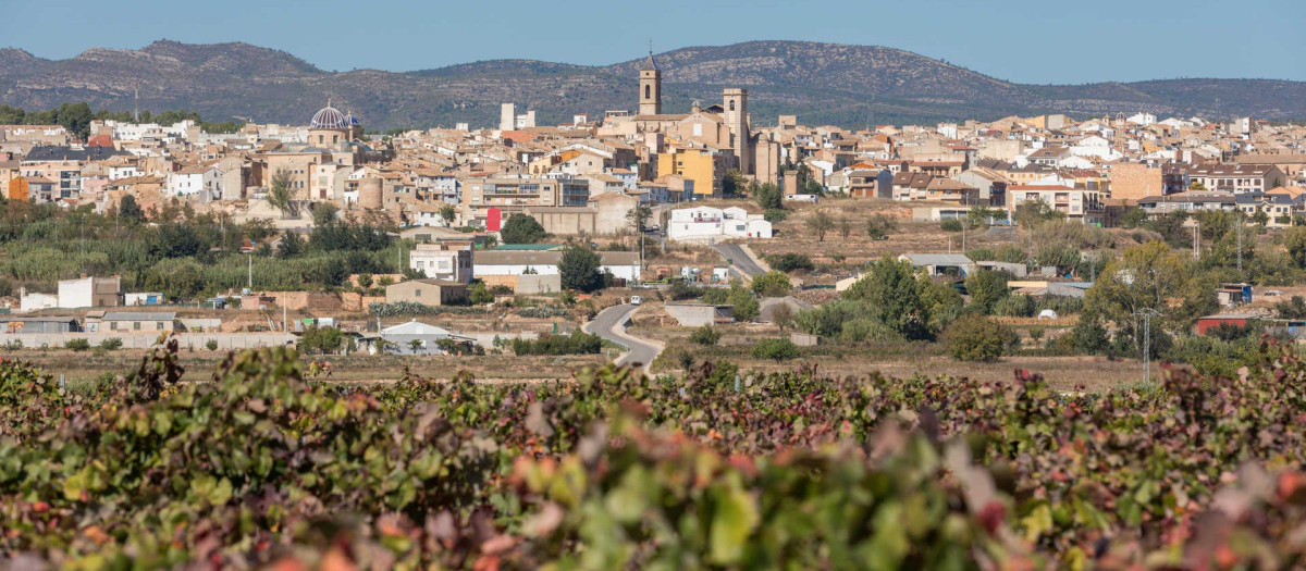 Imagen de Requena, el pueblo más extenso de la Comunidad Valenciana y situado en la provincia de Valencia