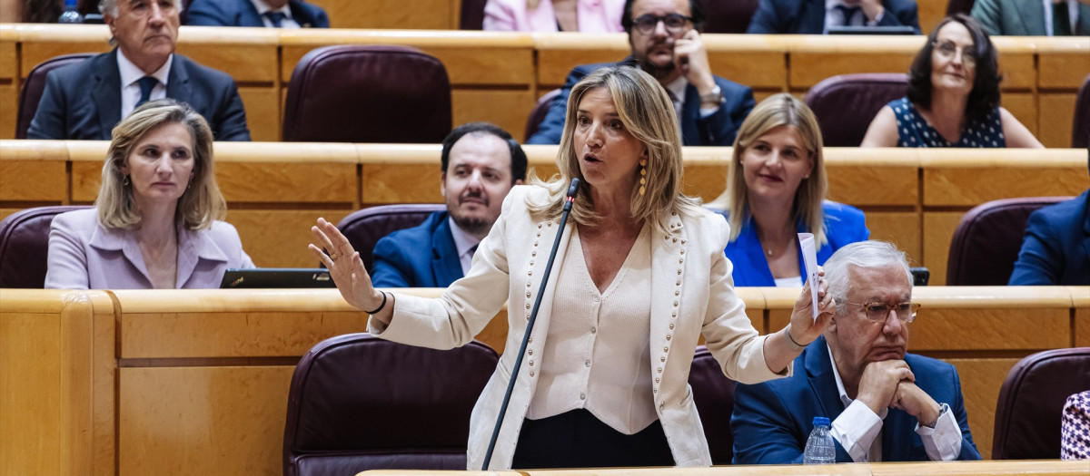 La portavoz del PP en el Senado, Alicia García