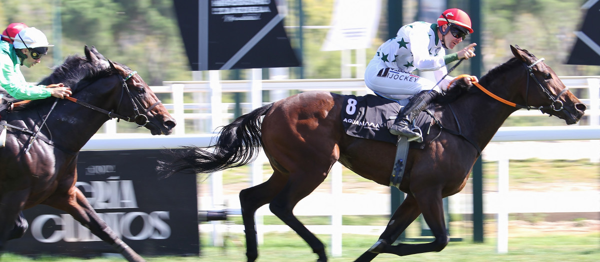 'Samedi Rien' con Vaclav Janacek, venciendo por segunda vez consecutiva en el 'Gran Premio de la Hispanidad'