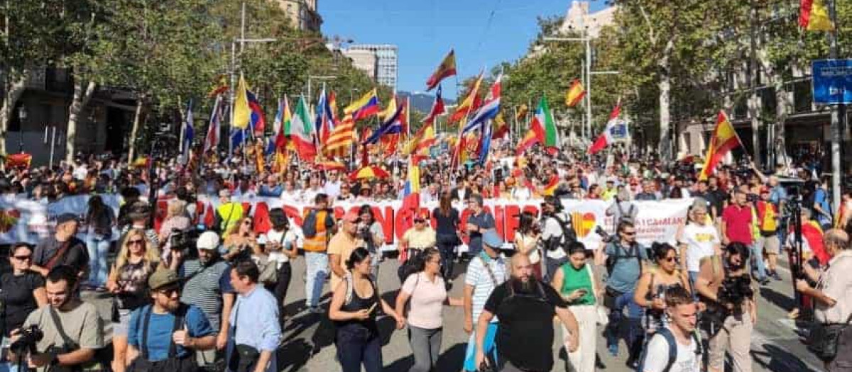 Manifestación organizada por Cataluña Suma el año pasado en Barcelona