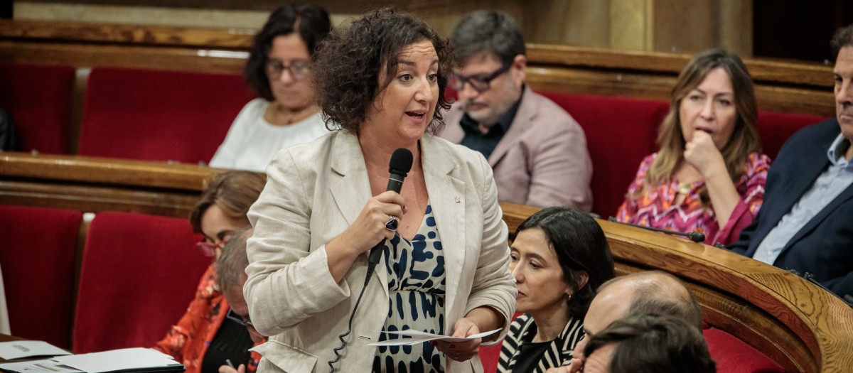 Alicia Romero, consejera de Economía, durante su intervención en el pleno