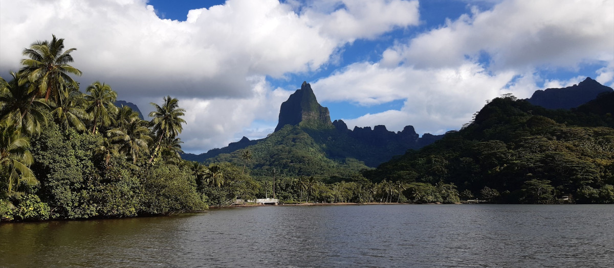 Isla de Moorea