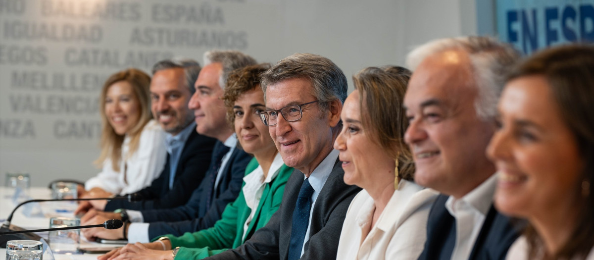 Alberto Núñez Feijóo junto a la eurodiputada Dolors Montserrat y la cúpula del PP