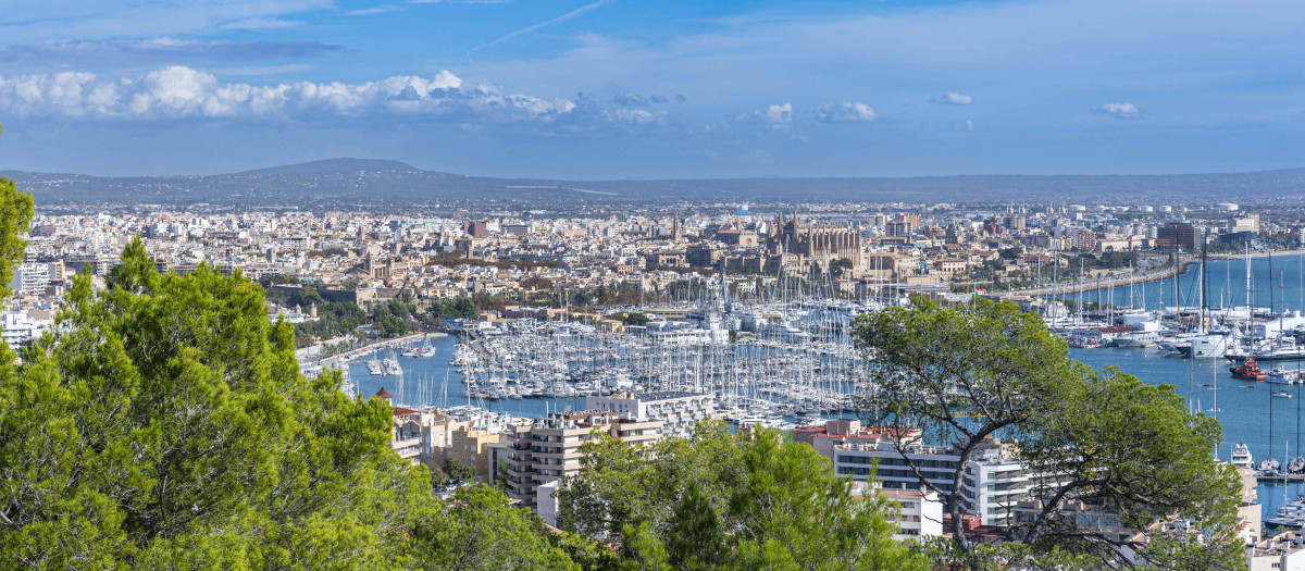 Castillo de Belver, en Palma de MallorcaArbre Arbres Architectural Baleares Bateau Eau Environnement EU Horizontal Immeuble Mallorca Mer Nuage Oceans Pluie Port Spain Transport Ville