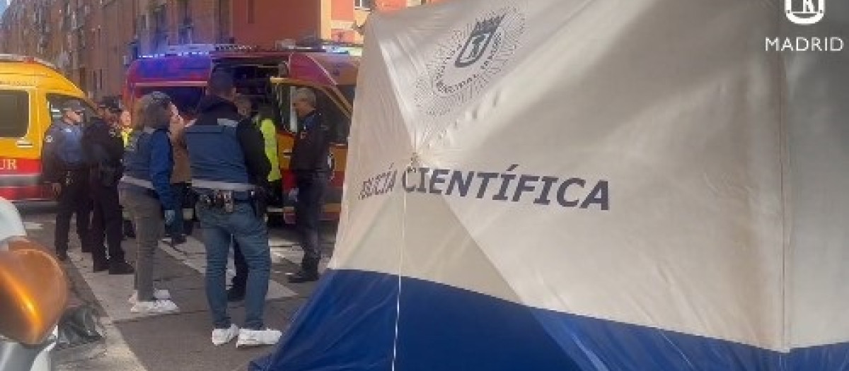 Muere un hombre atropellado por un coche en San Blas

REMITIDA / HANDOUT por EMERGENCIAS MADRID
Fotografía remitida a medios de comunicación exclusivamente para ilustrar la noticia a la que hace referencia la imagen, y citando la procedencia de la imagen en la firma
28/10/2024