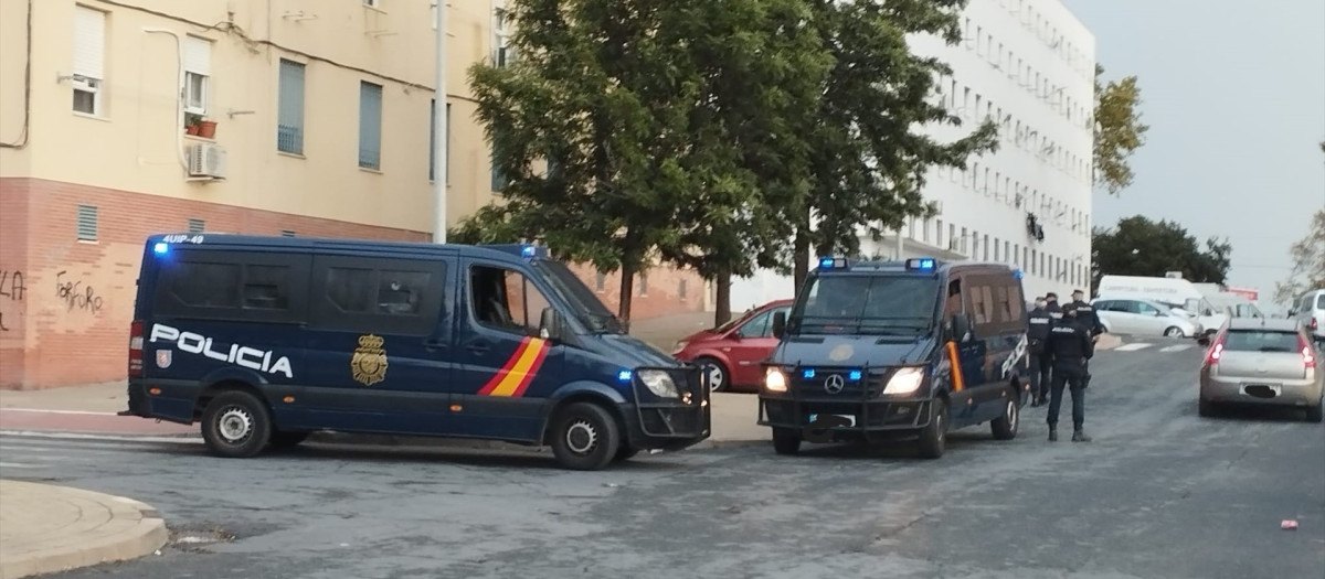 Efectivos de la Policía Nacional en la operación policíal en El Torrejón.

EUROPA PRESS
29/10/2024