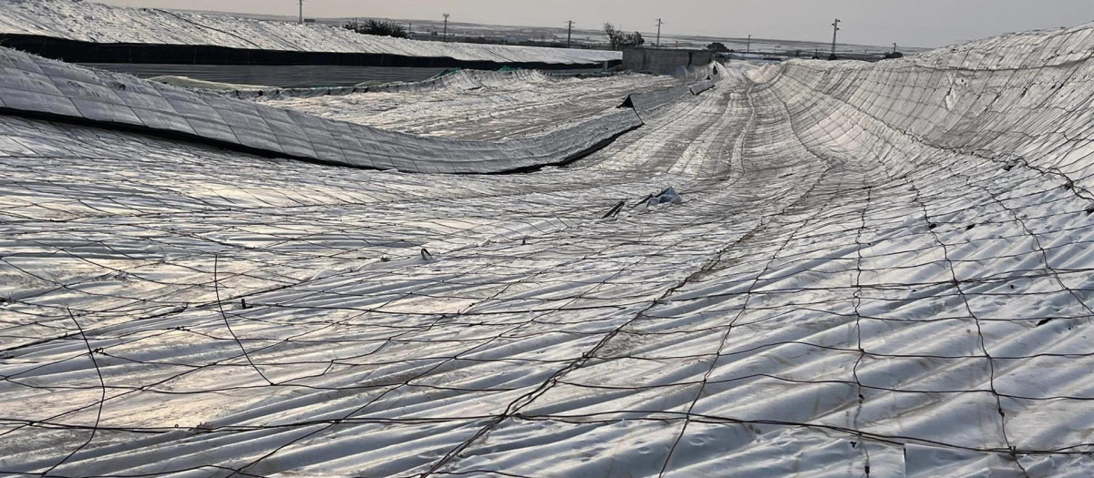 Estado en el que han quedado los invernaderos de El Ejido, en Almería, tras el paso de la borrasca