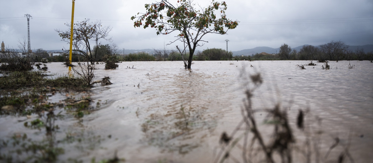 Imagen de las lluvias caídas en la comarca de La Ribera de Valencia

JORGE GIL/EUROPA PRESS
29/10/2024