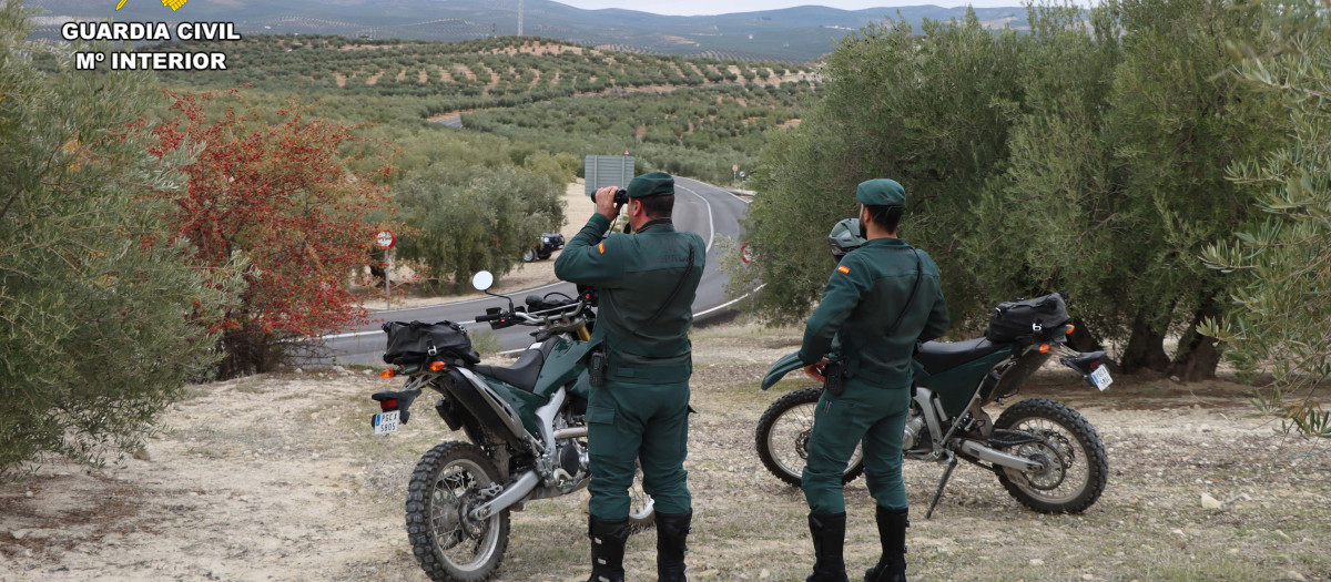 Agentes del Seprona realizando un servicio