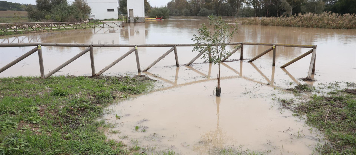 Efectos de la gota fría en Jerez de la Frontera