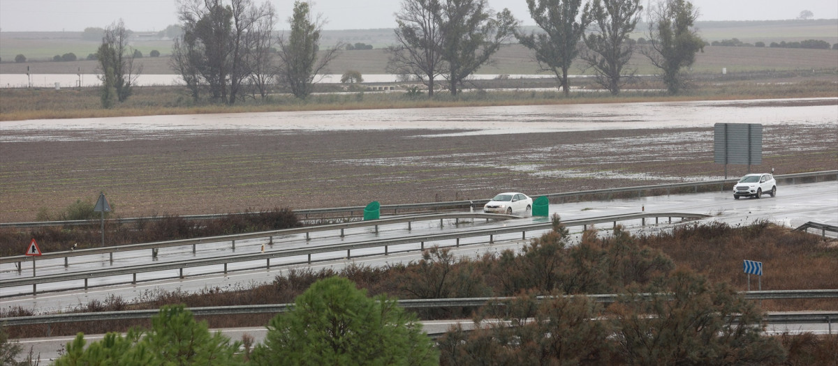 Inmediaciones de la carretera A-394 en Arahal anegadas debido a los efectos de las lluvias en las provincias de Cádiz y Sevilla.