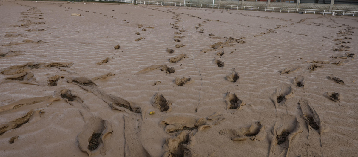 El barro cubre por completo un campo de fútbol en Sedaví, Valencia