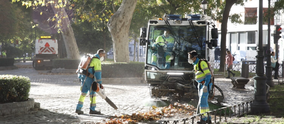 retirada de hoja