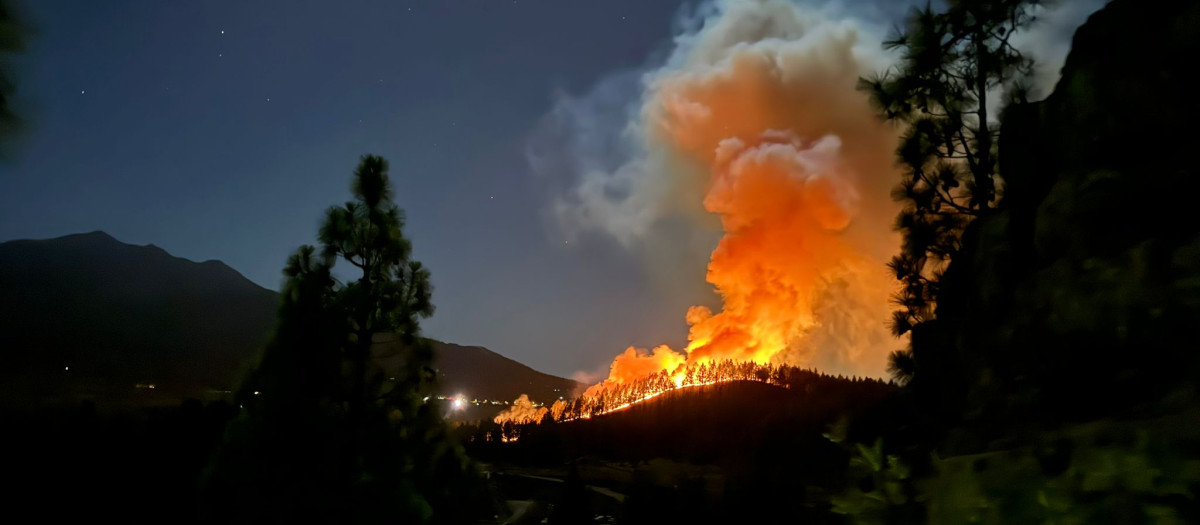 Incendio forestal en El Paso