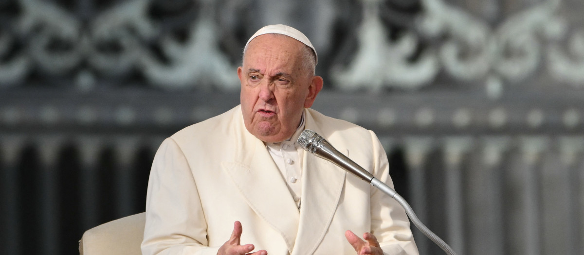 Pope Francis addresses the crowd during the weekly general audience at St Peter's Square in The Vatican on November 13, 2024. (Photo by Alberto PIZZOLI / AFP)