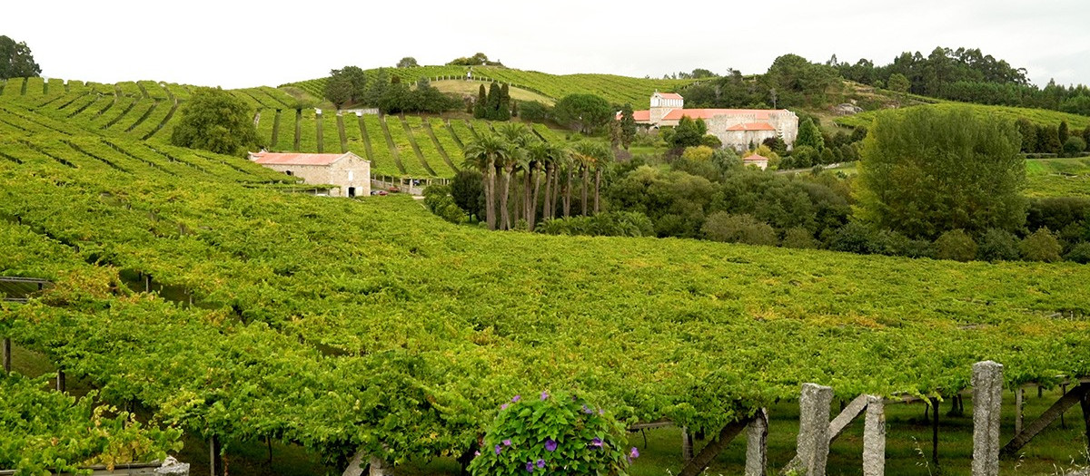 Finca del Pazo Baión