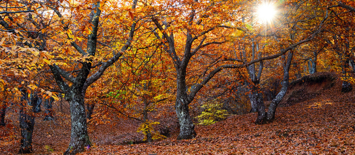 La gama cobriza del paisaje es característica del valle en los meses de octubre y noviembre