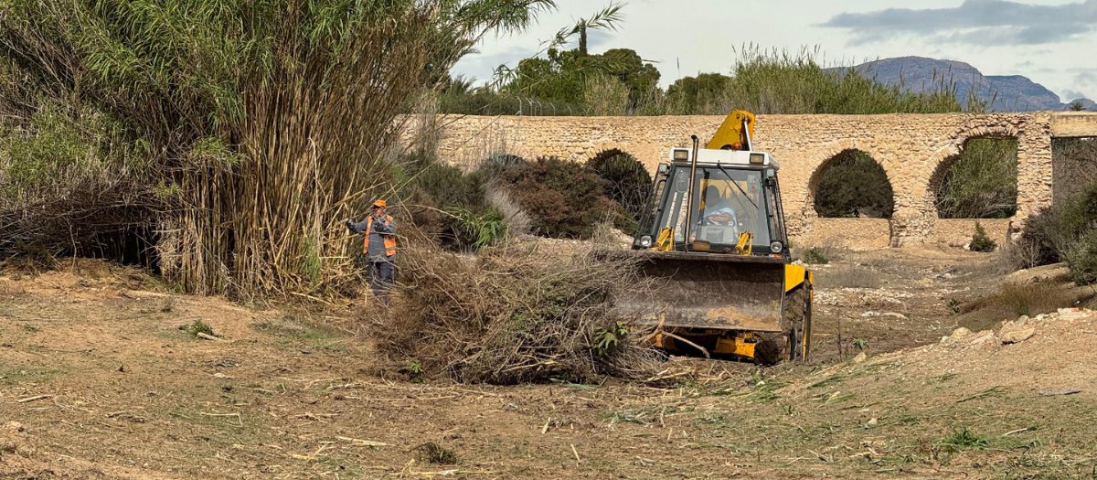 Tareas de desbrozamiento de barrancos en Elche