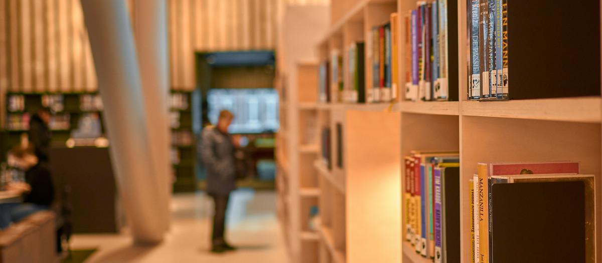 Un hombre mira una librería